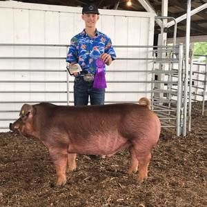 Meet your Posher, Rachel